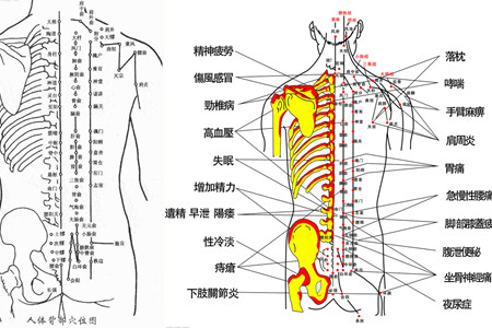 主页 女性养生保健 养生保健 > 正文   二,怎么找到背部的这些穴位 要