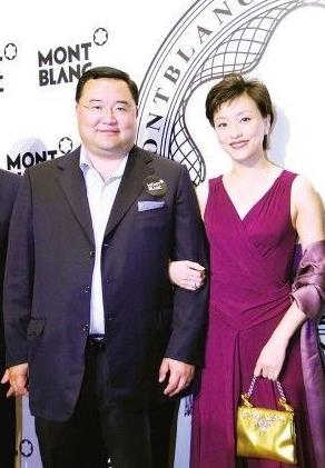 杨澜的前夫:杨澜的个人资料简介