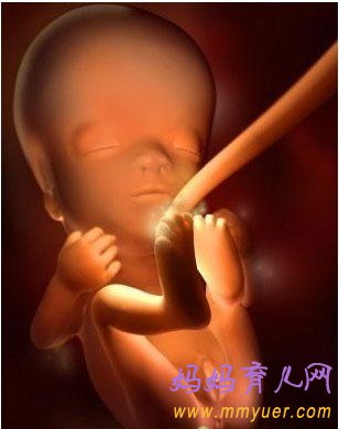 超高清胎儿每周发育过程3d图 一定让你大开眼界