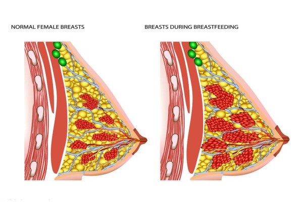 乳晕长了几根毛影响吗 乳房健康是女性健康的体现