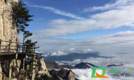 河南2021免费景区,河南免费景点2021 2021河南274家景区免门票是真的吗