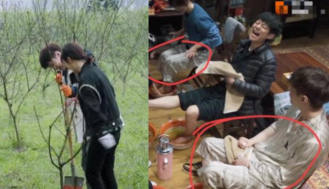 杨紫张艺兴同款睡衣事件张艺兴杨紫恋情实锤证据