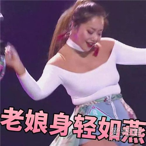 菊外人是什么梗菊外人是什么意思